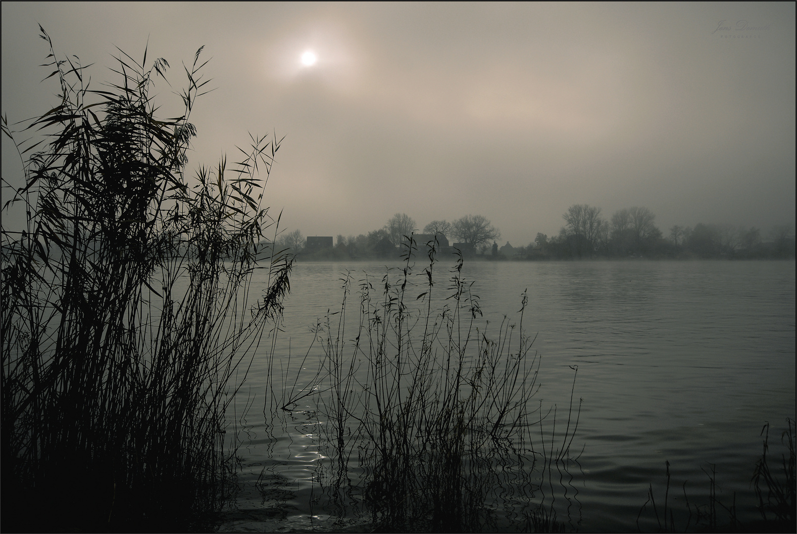 Nebel über der Elbe ()