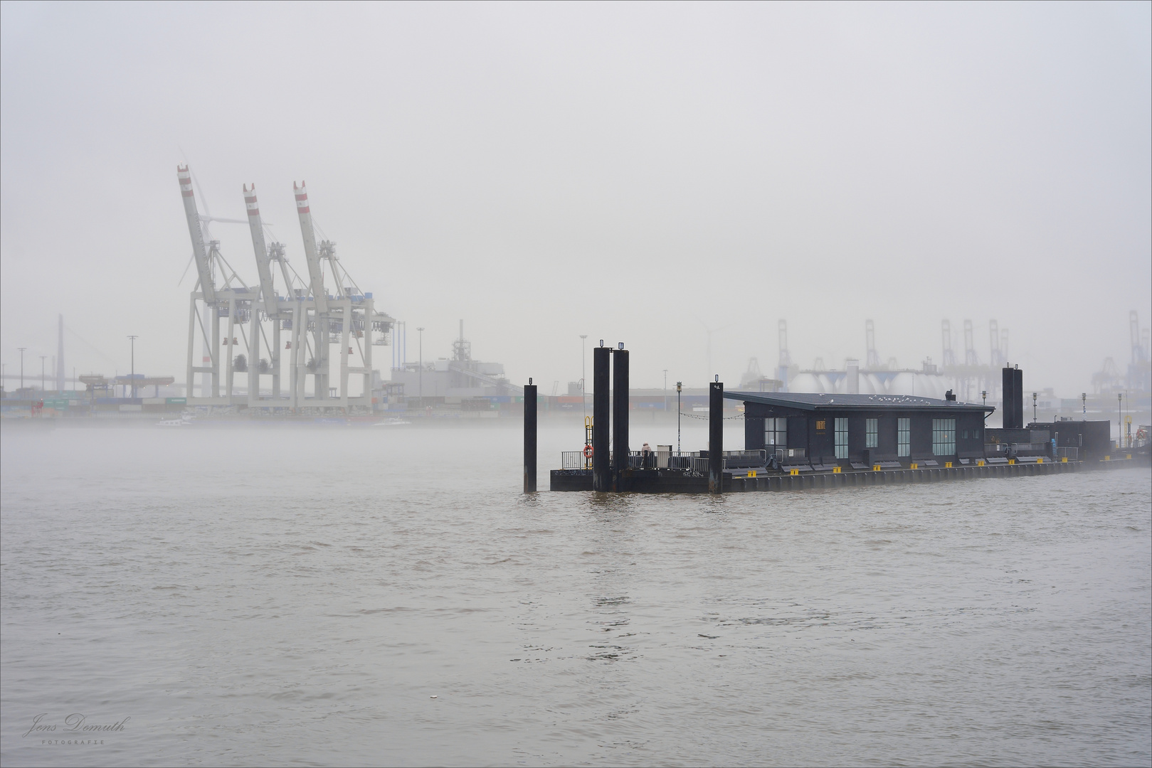 Nebel über der Elbe (5)