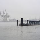 Nebel über der Elbe (5)