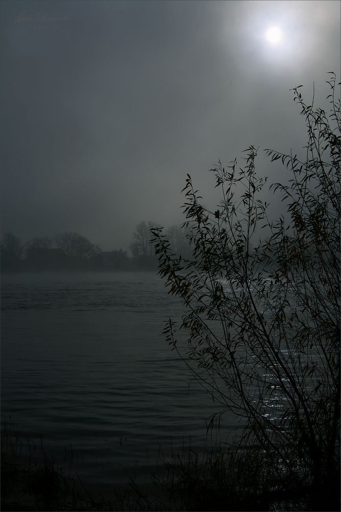 Nebel über der Elbe ()