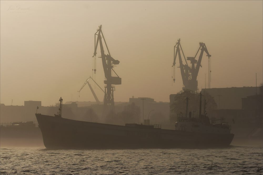 Nebel über der Elbe ()