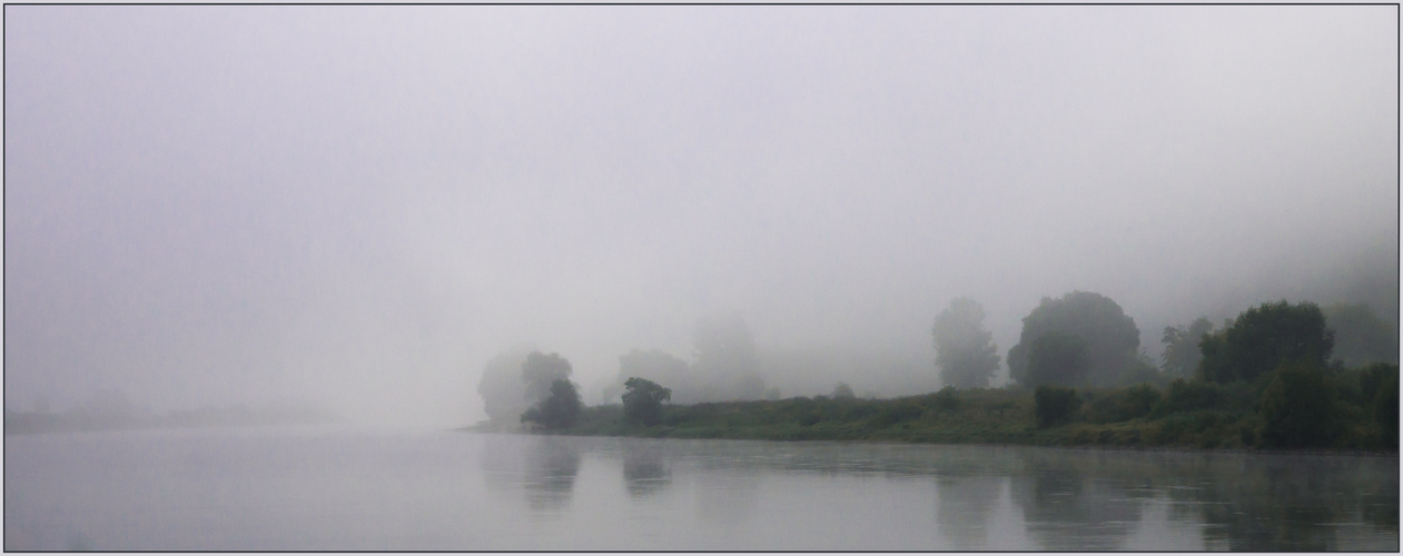 Nebel über der Elbe