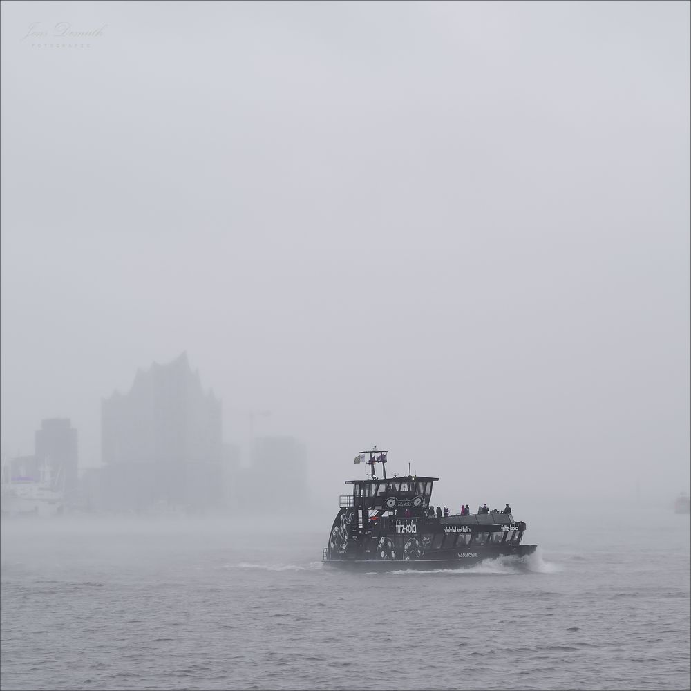 Nebel über der Elbe ()