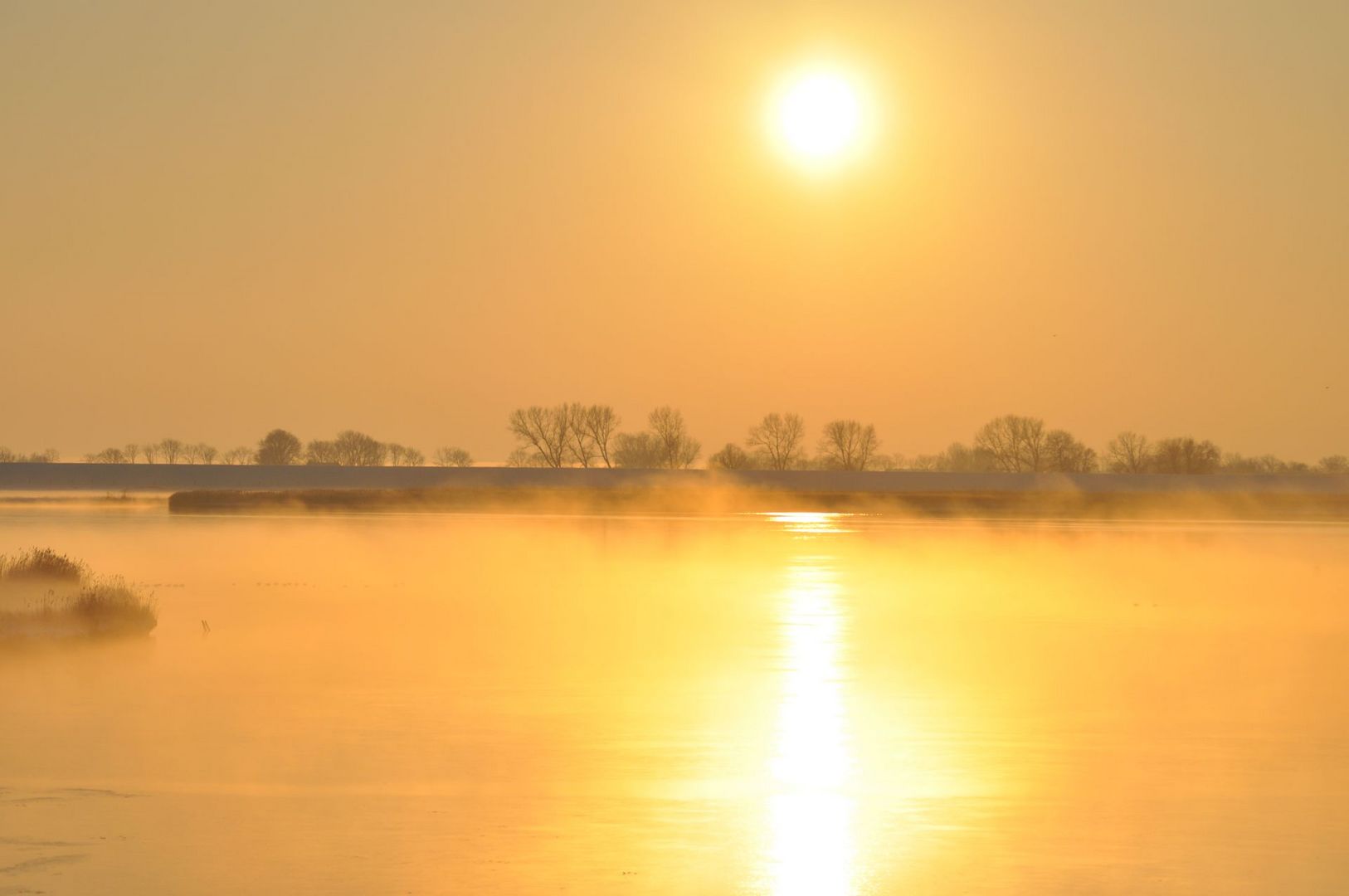 Nebel über der Ems