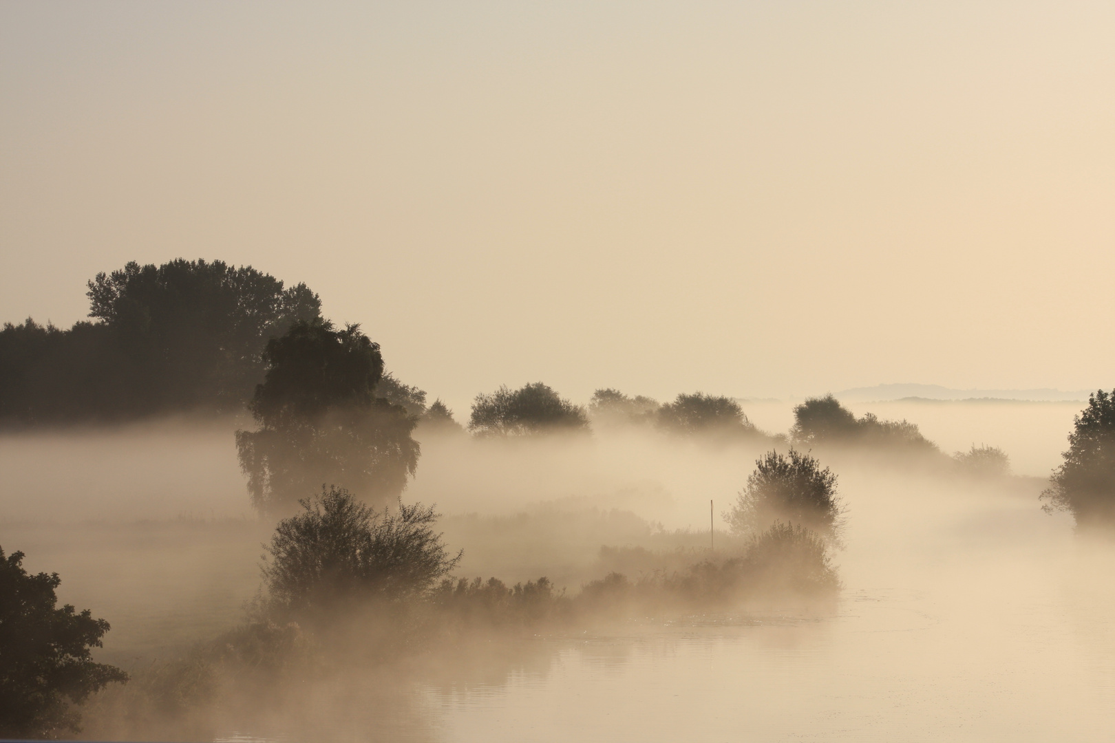 Nebel über der Hamme