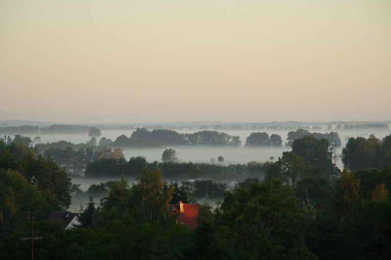 Nebel über der Havel