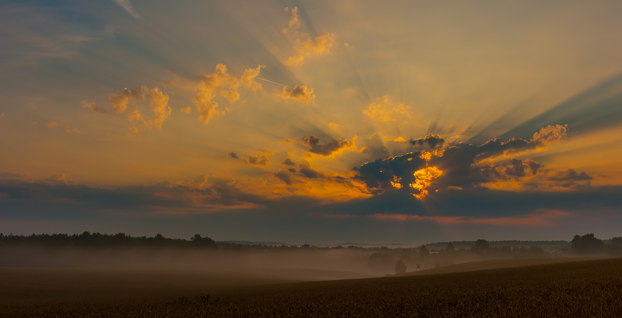 Nebel über der Heide