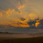 Nebel über der Heide