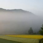 Nebel über der Landschaft...