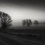 ****Nebel über der Landschaft****