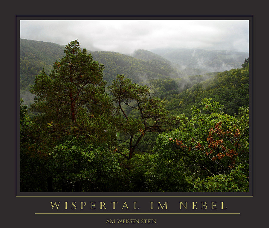 Nebel über der Laukenmühle