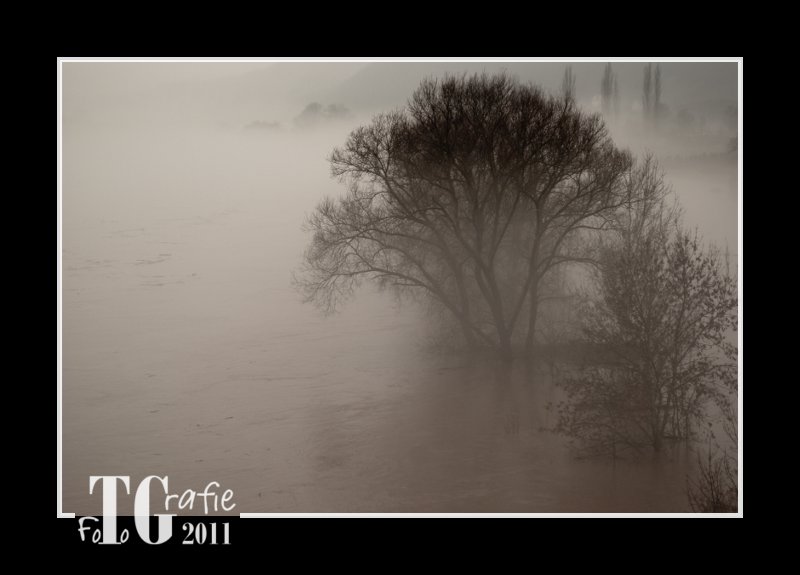 Nebel über der Mosel