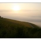 Nebel über der Mosel