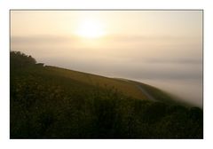 Nebel über der Mosel