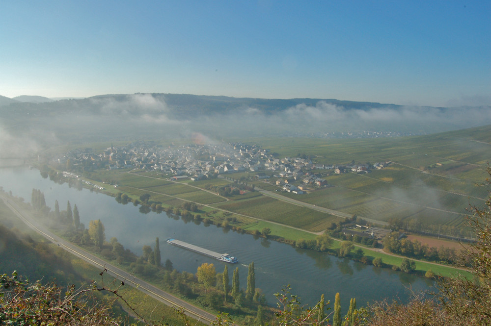 Nebel über der Mosel