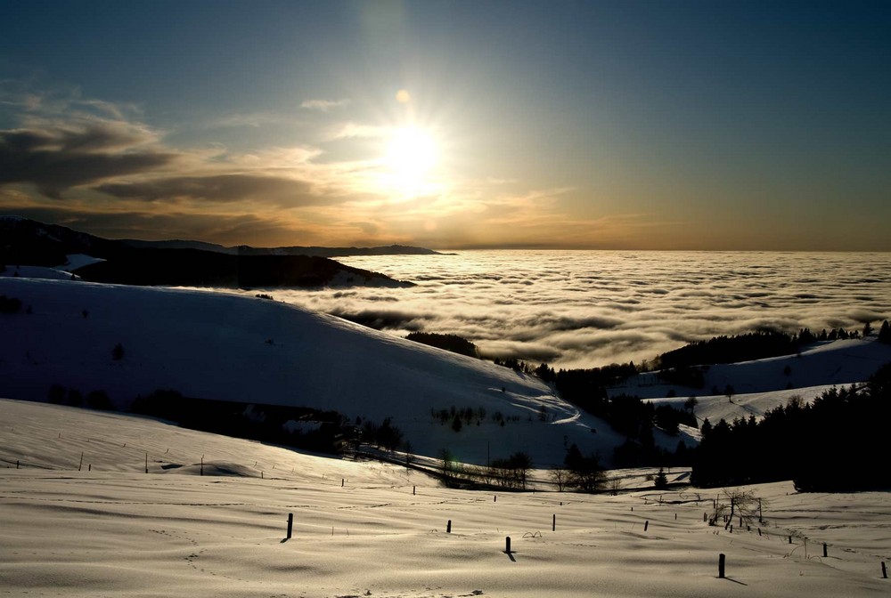 Nebel über der Oberrheinebene