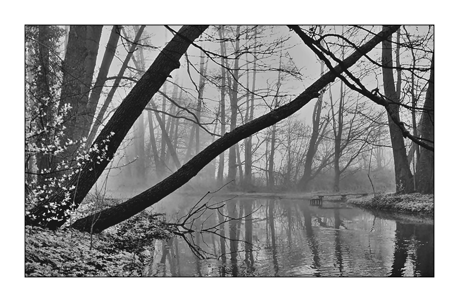 Nebel über der Plane