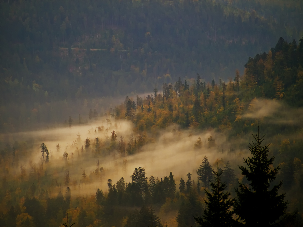 Nebel über der Rotmurg