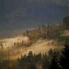 Nebel über der Rotmurg