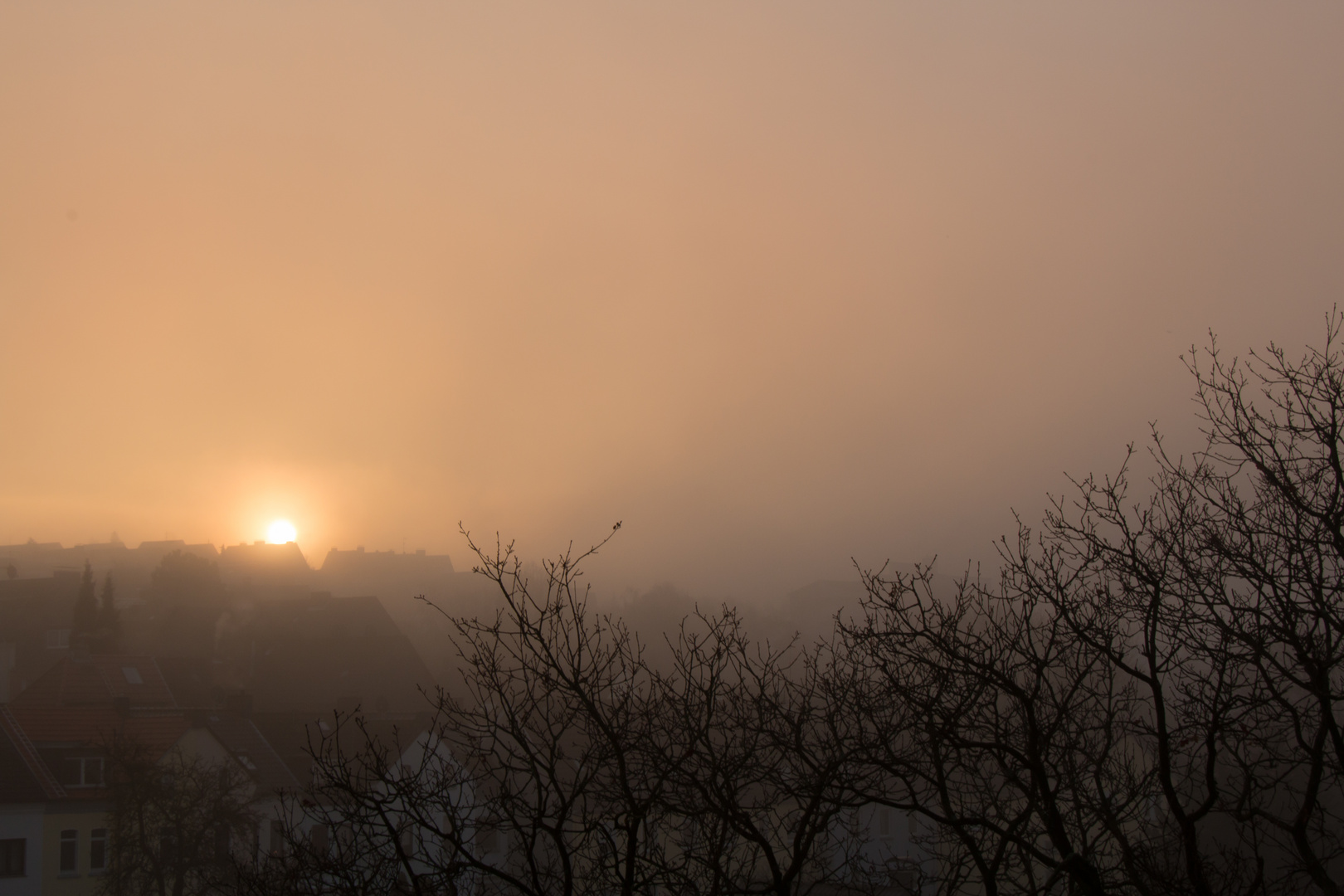 Nebel über der Ruhr