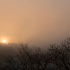 Nebel über der Ruhr