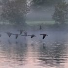 Nebel über der Ruhr