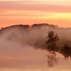 Nebel über der Ruhr