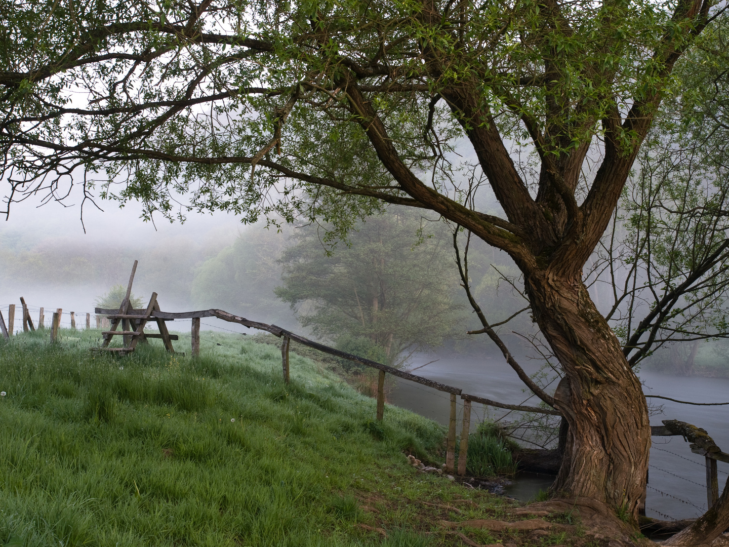 Nebel über der Rur