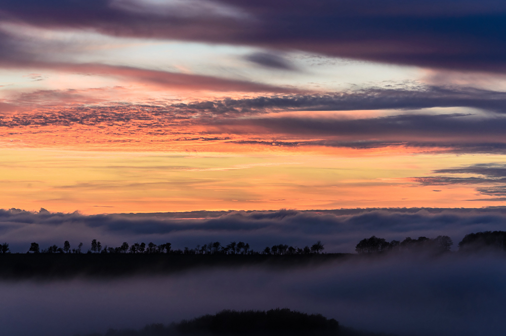 Nebel über der Saar