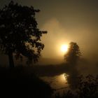 Nebel über der Schwarzach