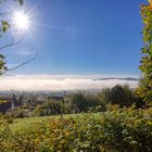 Nebel über der Stadt