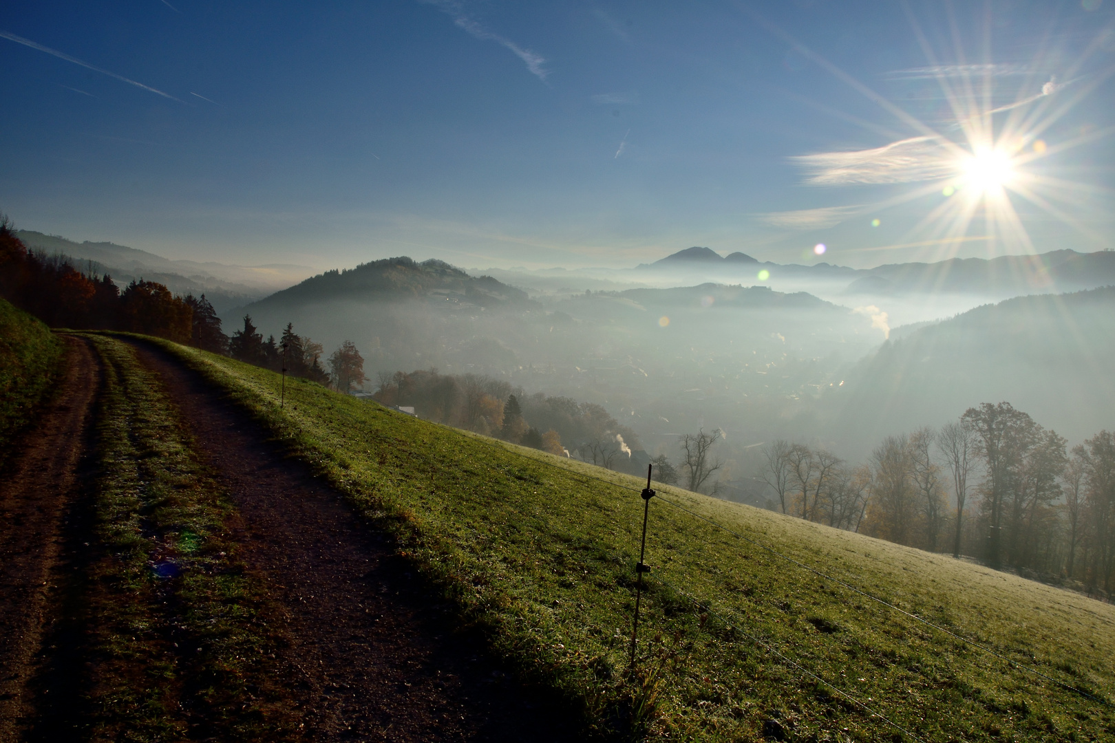 Nebel über der Stadt