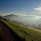 Nebel über der Stadt