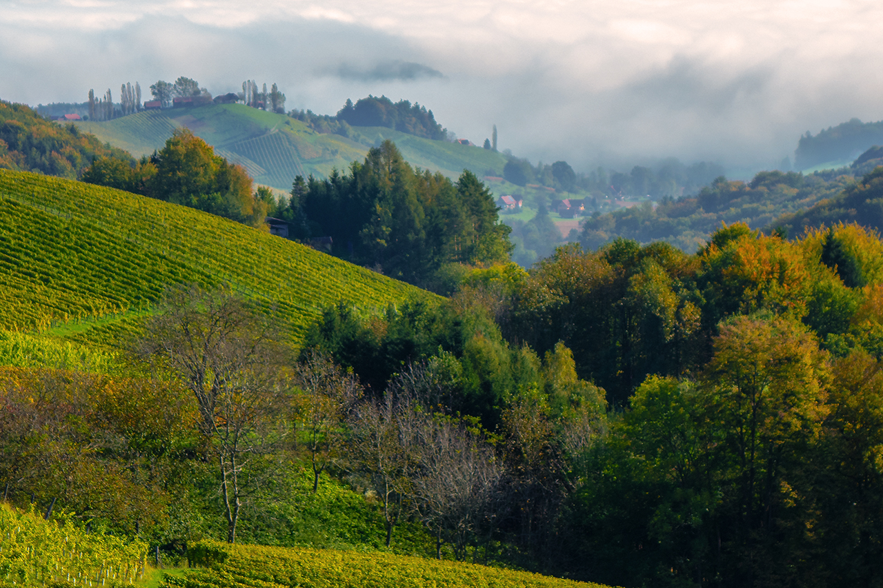 Nebel über der Südsteiermark