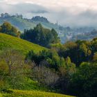 Nebel über der Südsteiermark