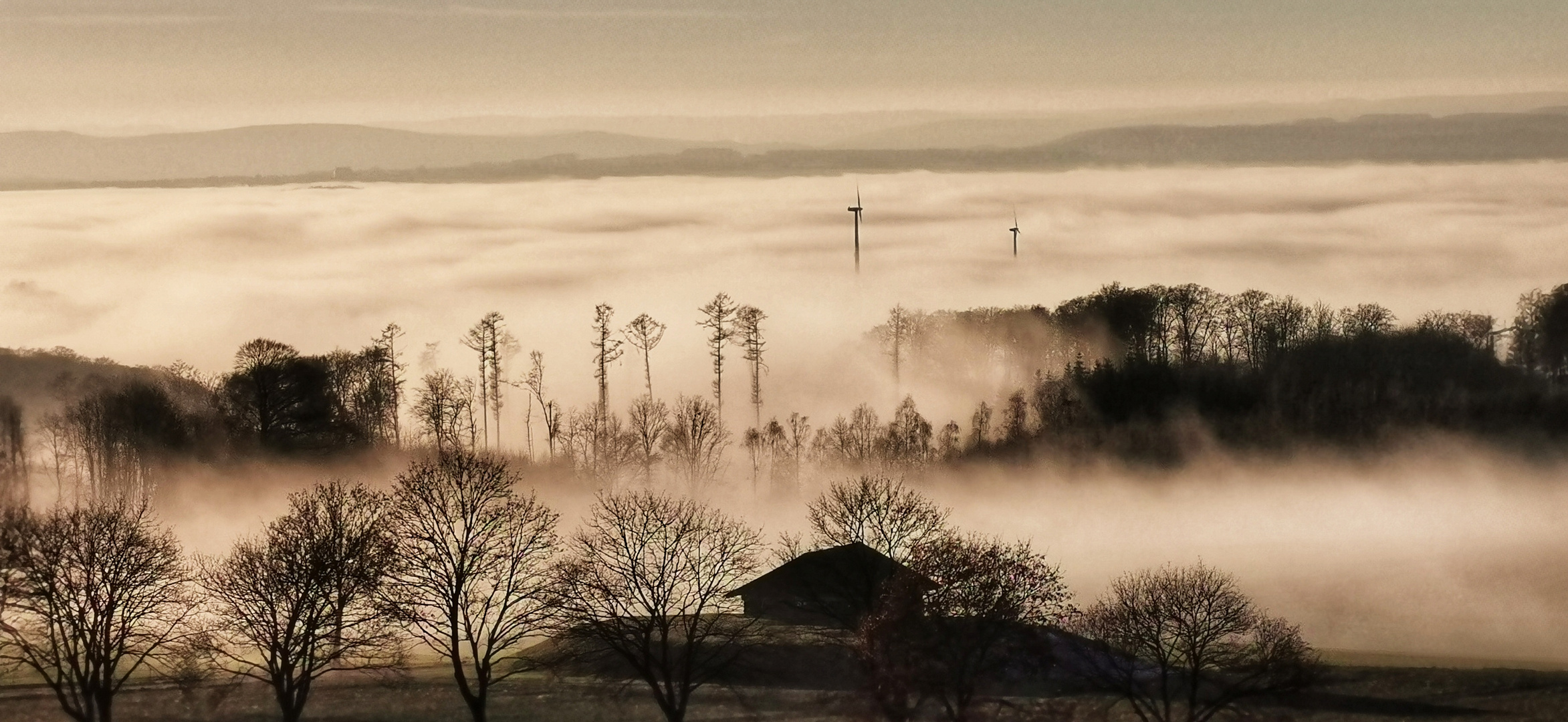 Nebel über der Warburger Börde 