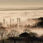 Nebel über der Warburger Börde 