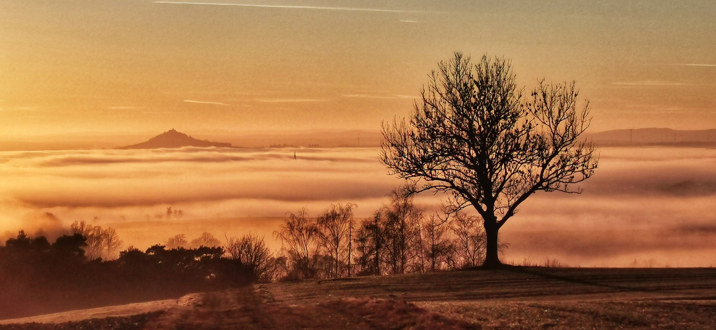 Nebel über der Warburger Börde