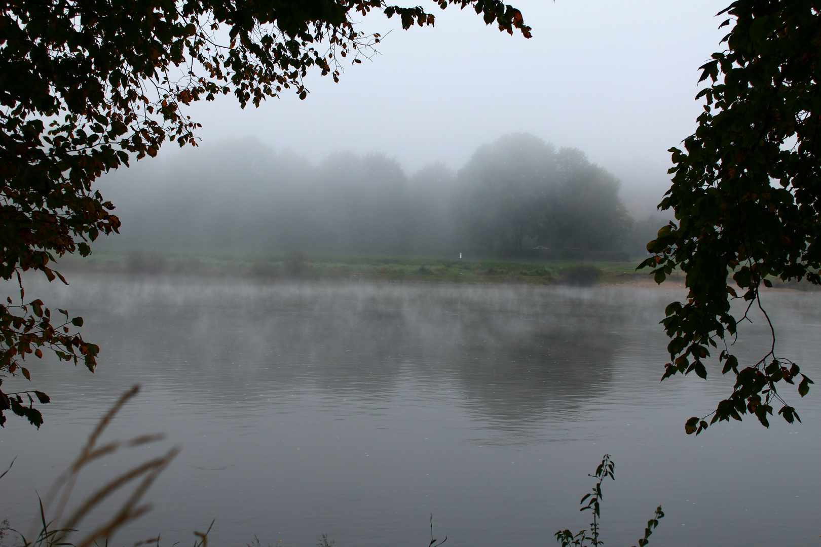 Nebel über die Elbe