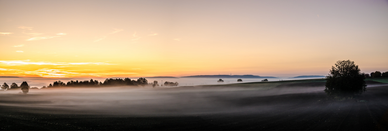 Nebel über Donaueschingen