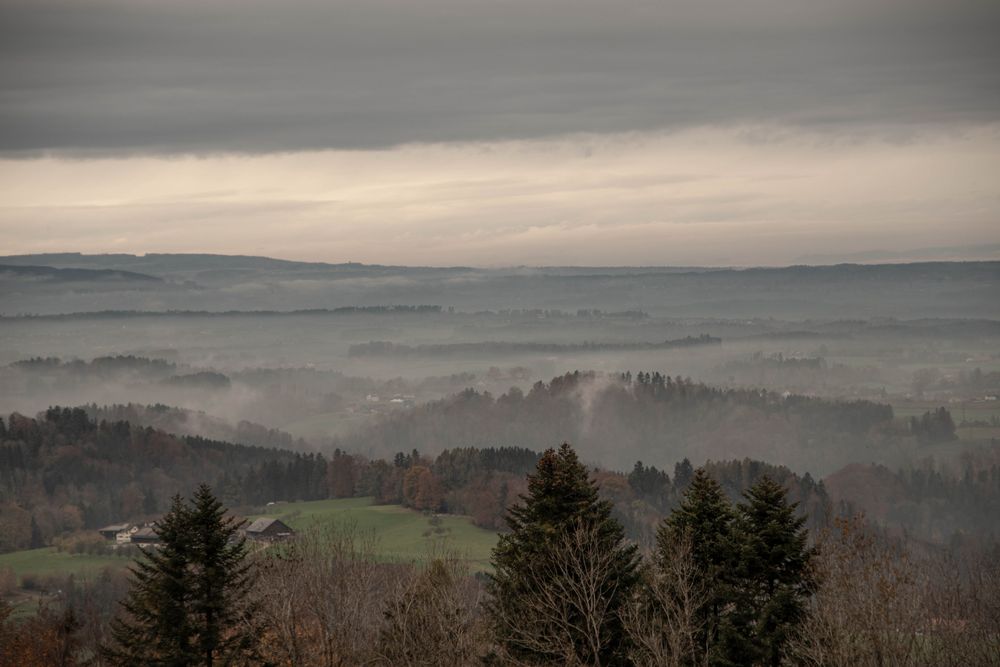 Nebel über Felder und Wälder
