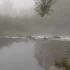 Nebel über Fluß und Wasserfall.Die Leine bei Hollenstedt/Northeim.