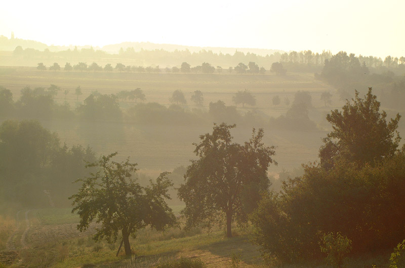 Nebel über Franken im August (1)