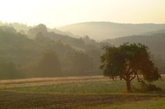 Nebel über Franken im August (3)