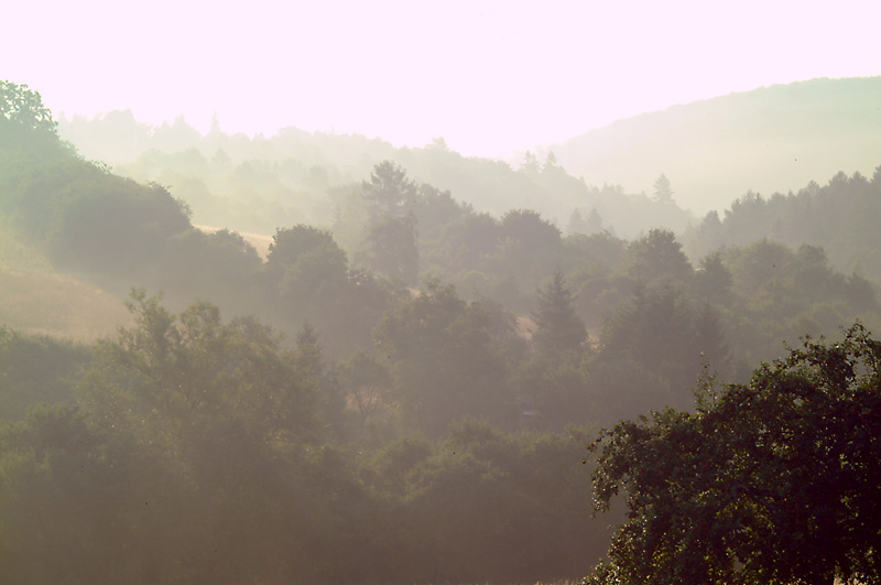 Nebel über Franken im August (4)