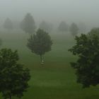 Nebel über Geiselwind - 5