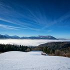 Nebel über Hallein