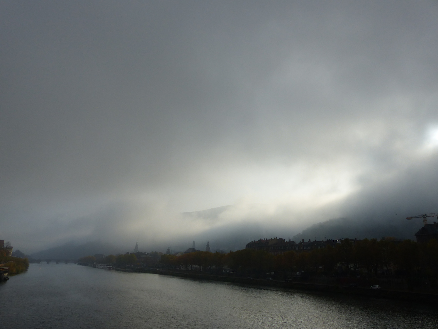 nebel über heidelberg