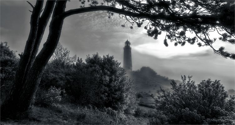 NEBEL ÜBER HIDDENSEE 