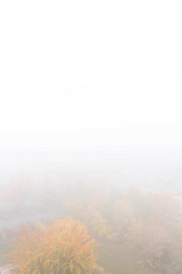 Nebel über Jena